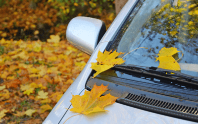 Conducción segura en otoño: Consejos para tu seguridad y la de tu vehículo