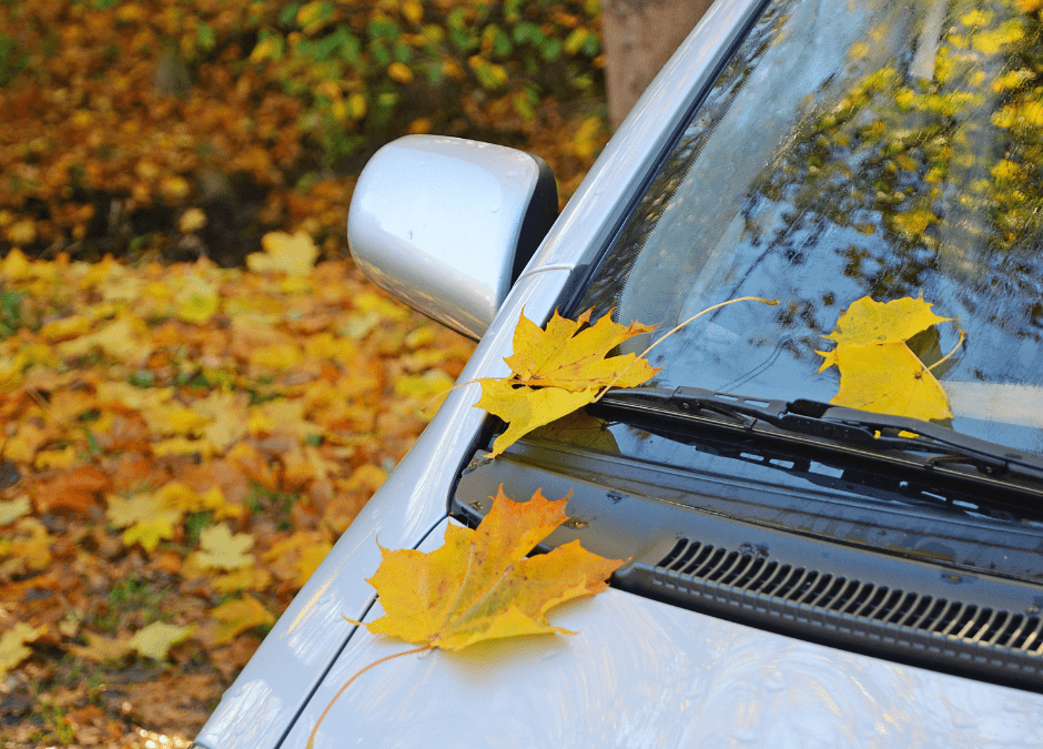 Conducción segura en otoño: Consejos para tu seguridad y la de tu vehículo
